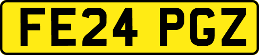 FE24PGZ