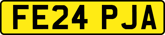 FE24PJA