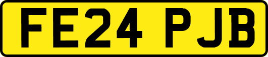 FE24PJB