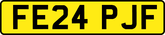 FE24PJF