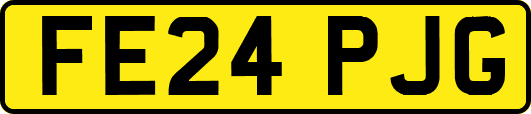 FE24PJG