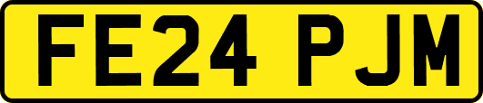 FE24PJM