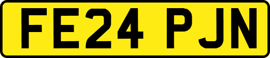 FE24PJN