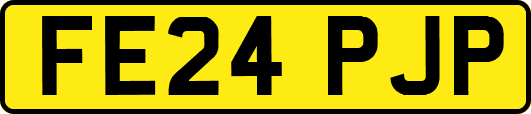 FE24PJP