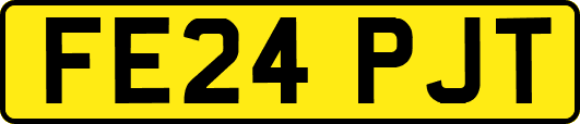 FE24PJT