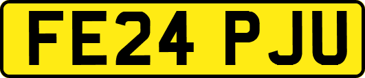FE24PJU