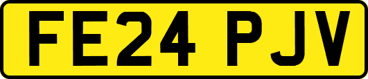 FE24PJV