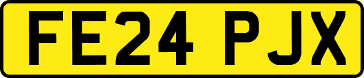 FE24PJX