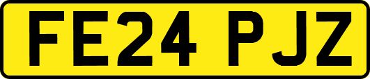 FE24PJZ