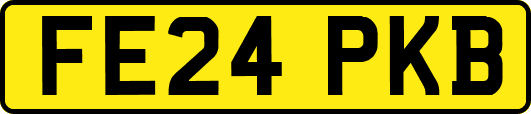 FE24PKB