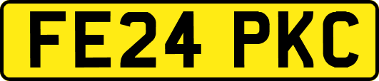 FE24PKC