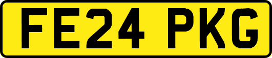 FE24PKG