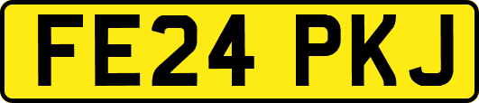 FE24PKJ