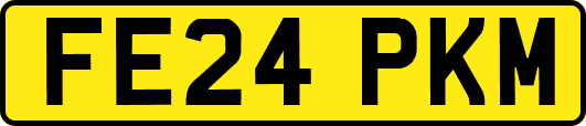 FE24PKM