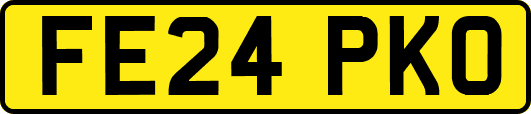 FE24PKO