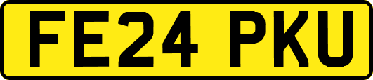 FE24PKU