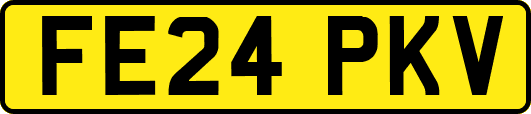 FE24PKV