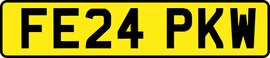 FE24PKW