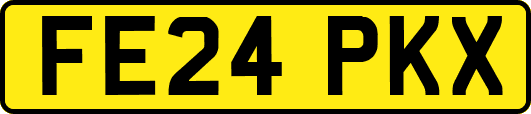 FE24PKX