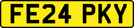 FE24PKY