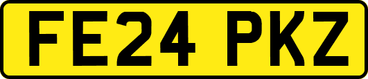 FE24PKZ