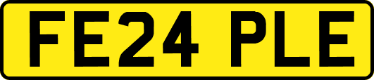 FE24PLE