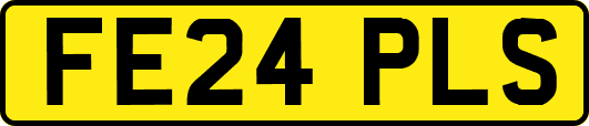 FE24PLS