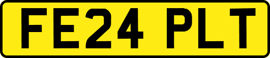 FE24PLT