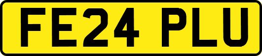 FE24PLU
