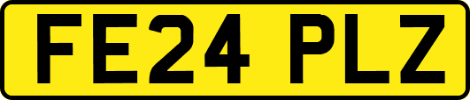 FE24PLZ