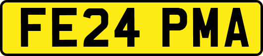FE24PMA