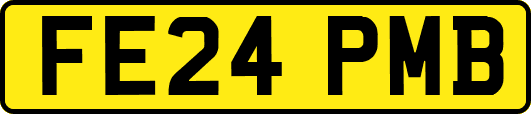 FE24PMB