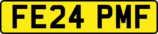 FE24PMF