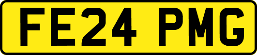 FE24PMG