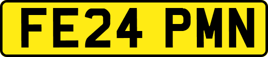 FE24PMN