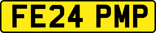 FE24PMP