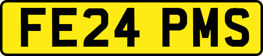 FE24PMS