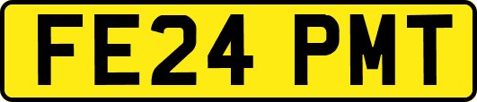 FE24PMT