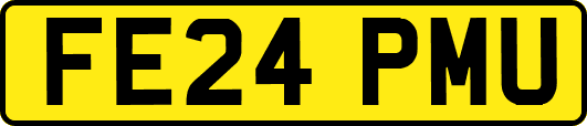 FE24PMU