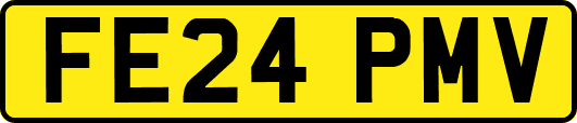FE24PMV