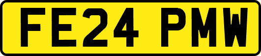 FE24PMW