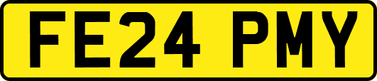 FE24PMY