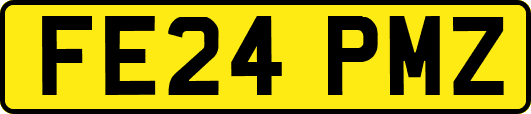 FE24PMZ