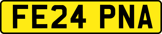 FE24PNA