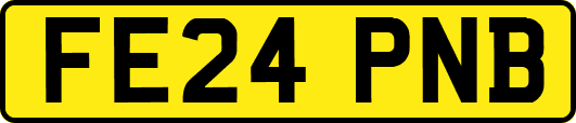 FE24PNB
