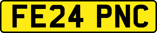 FE24PNC