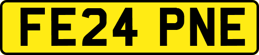 FE24PNE