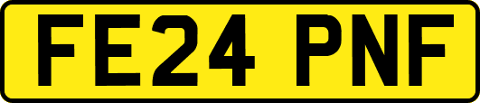 FE24PNF