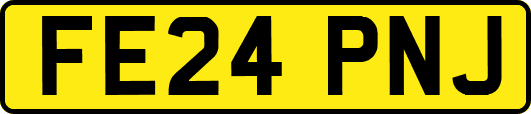 FE24PNJ