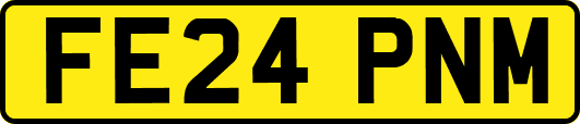 FE24PNM